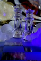 /album/nahlikova-senica-3-miesto-/uplne-obycajny-sach-ii-jpg/